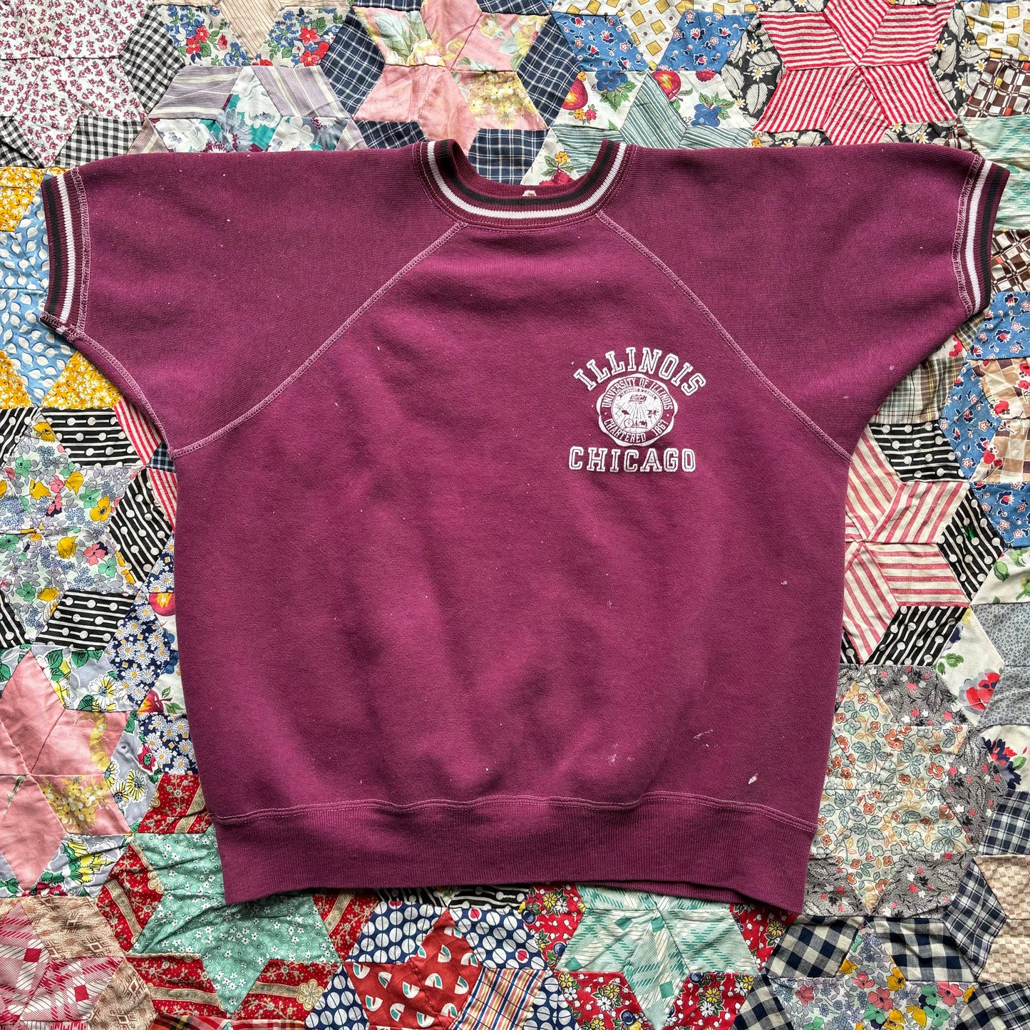 Vintage 1960s University of Illinois Champion Running Man Sweatshirt. Small