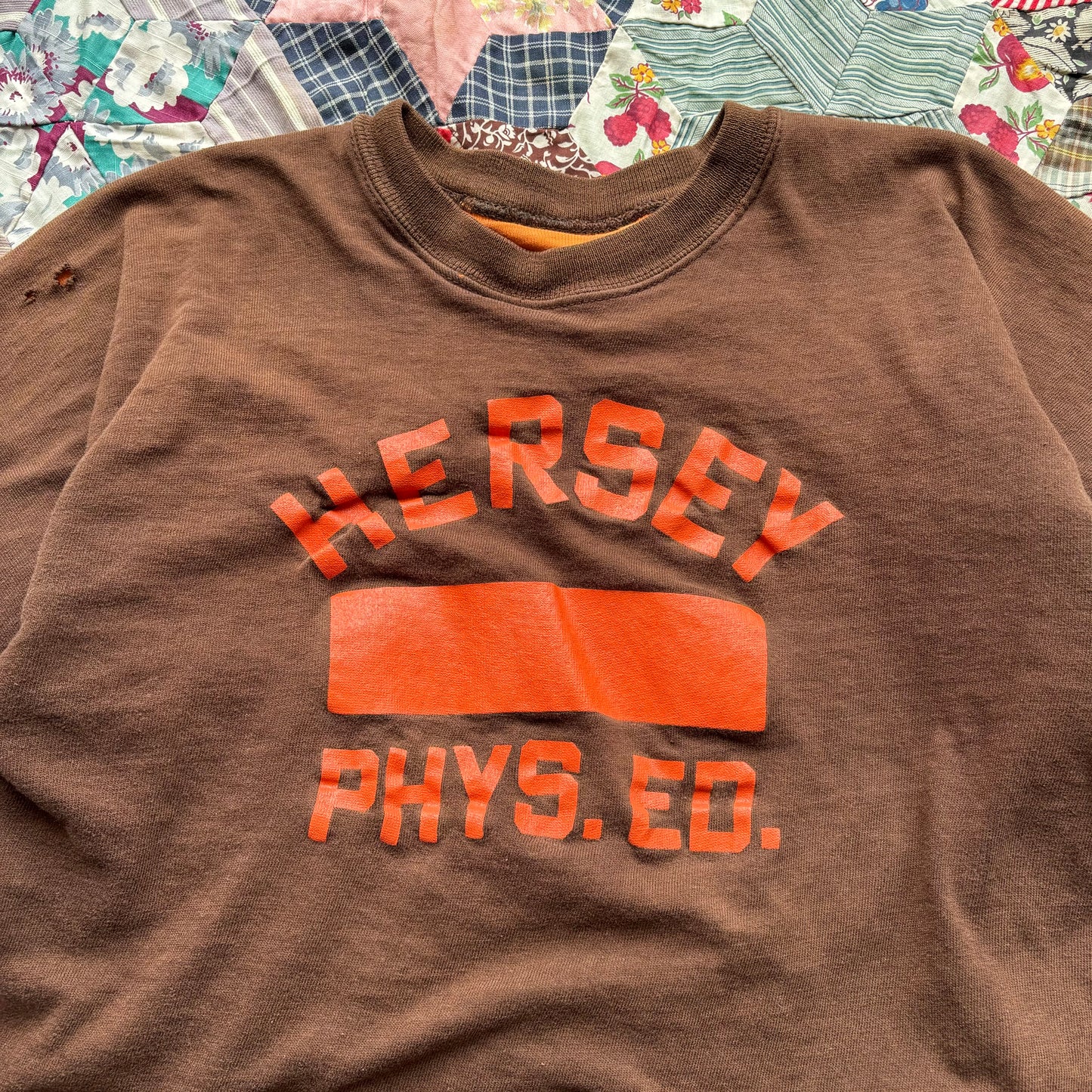Vintage 1960s Hersey Phys Ed Double Face Tee. Small